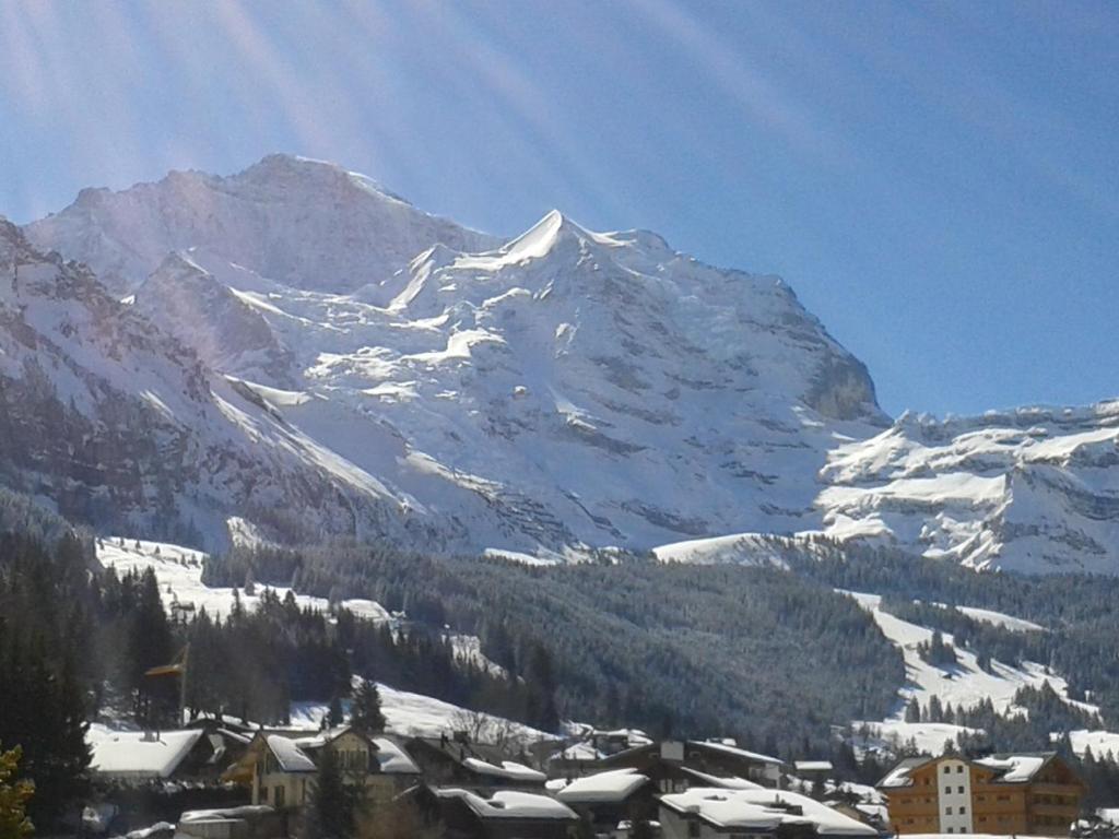 Hotel Berghaus Wengen Extérieur photo