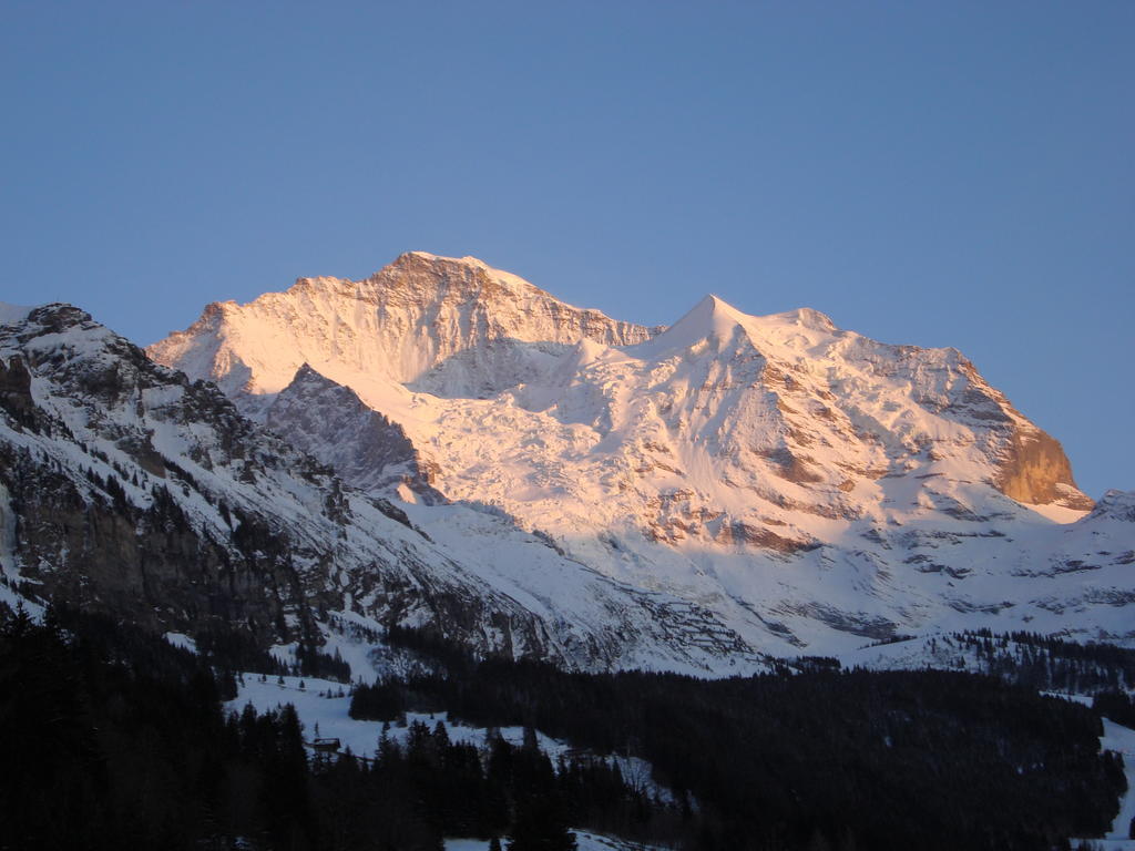 Hotel Berghaus Wengen Extérieur photo